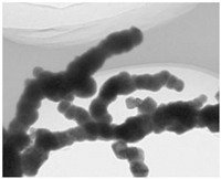 Nanometer zero valent iron material