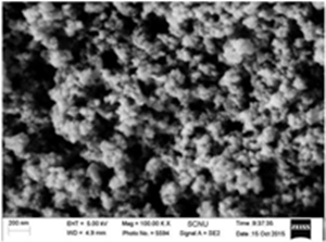 Nanometer zero valent iron material