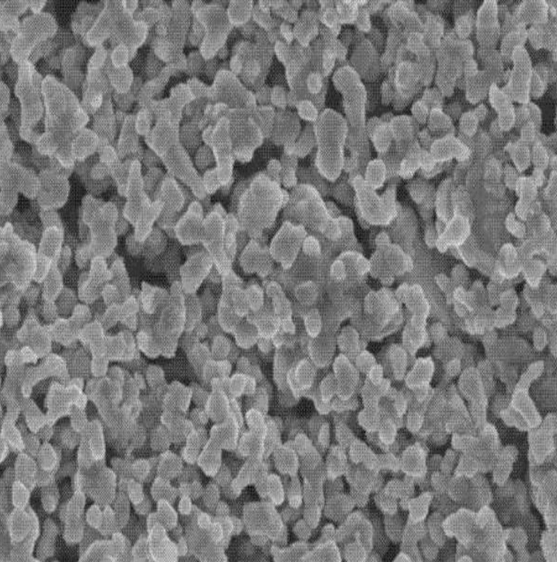 Nanometer zero valent iron material